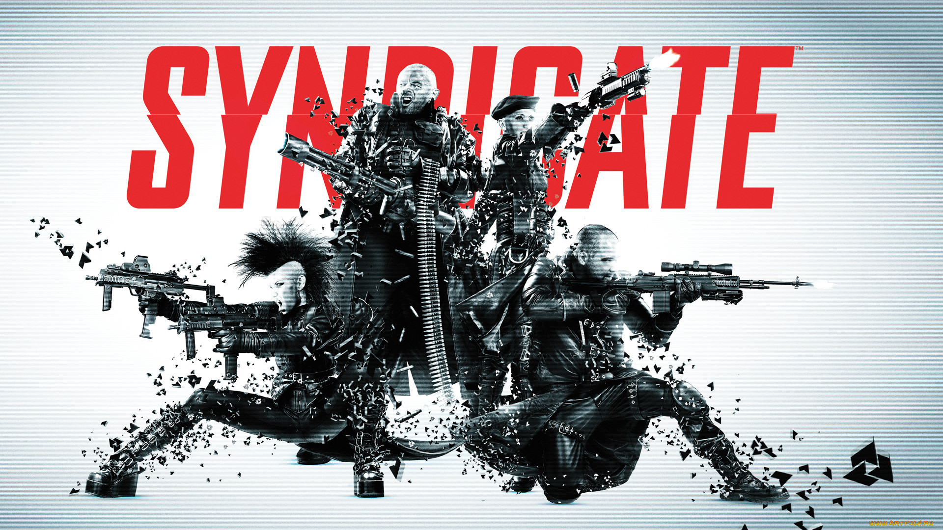 , , syndicate